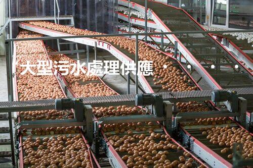 “大型污水處理供應，綠色環(huán)保先鋒，助力清潔地球行動！”